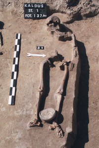 Click to zoom the picture.